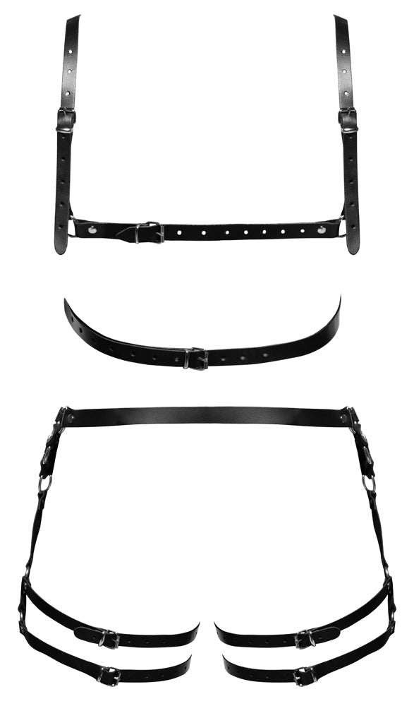 ZADO M/L Leather Harness Set