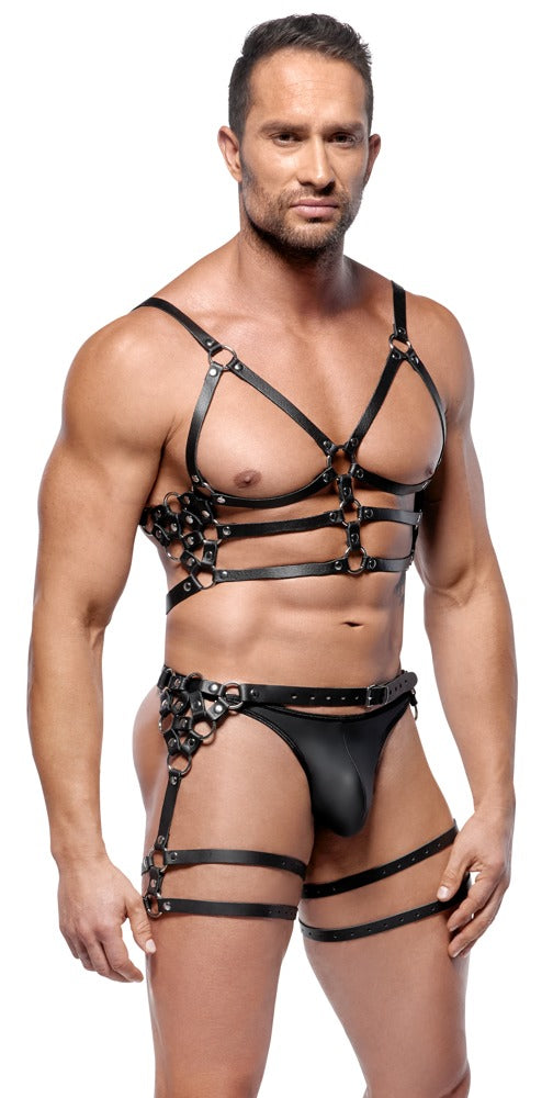 ZADO M/L Leather Harness Set