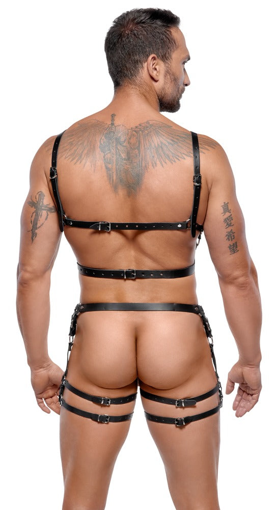 ZADO M/L Leather Harness Set