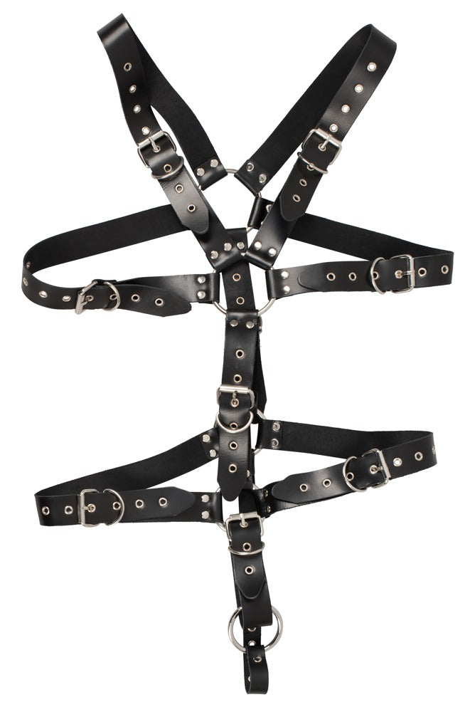 Leather harness for him ZADO SL