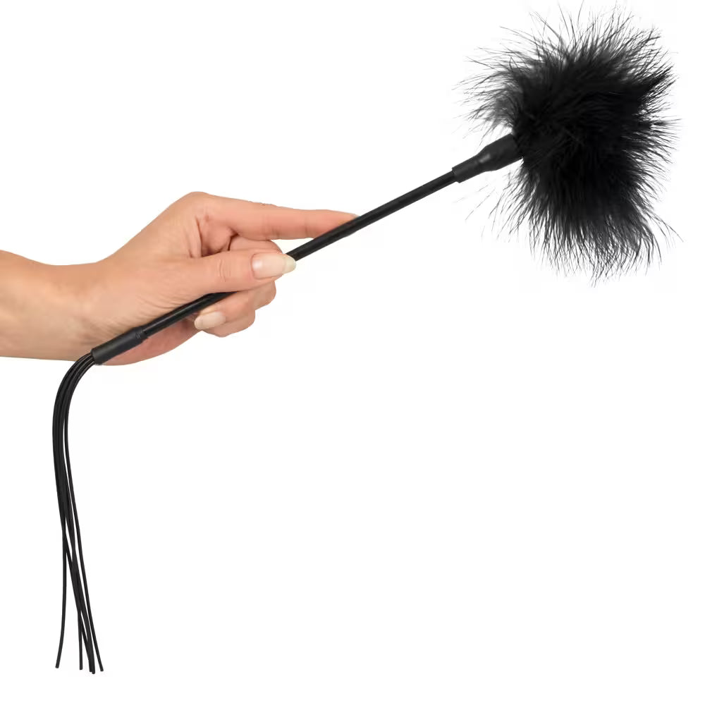 4-piece discovery kit