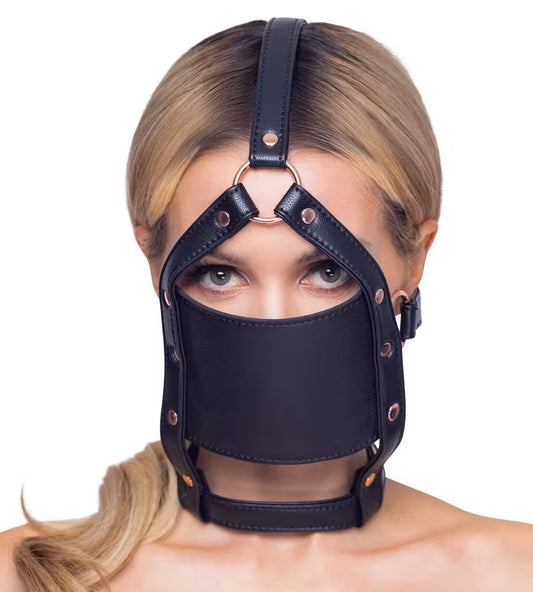 Round gag with head harness