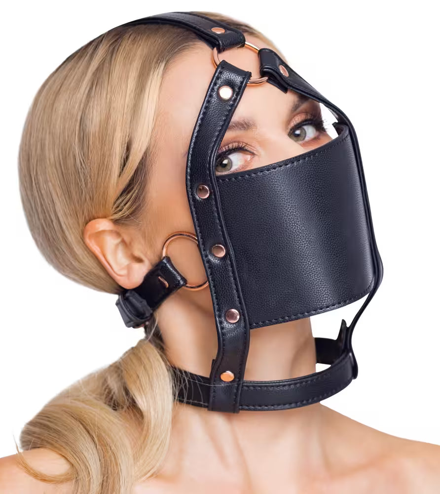 Round gag with head harness