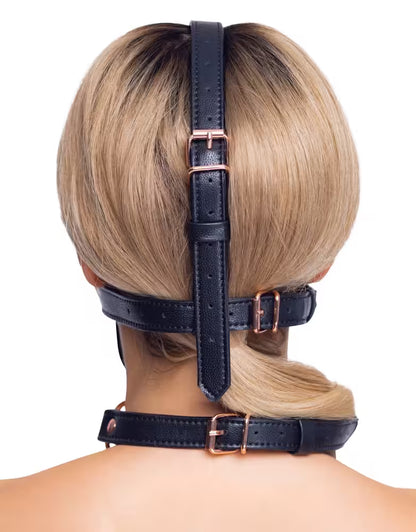 Round gag with head harness