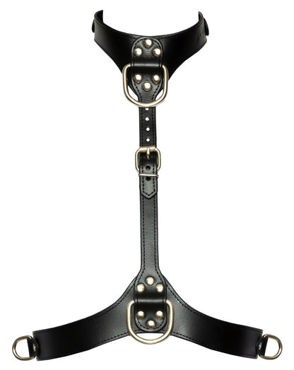 SL Bad Kitty Chest Harness